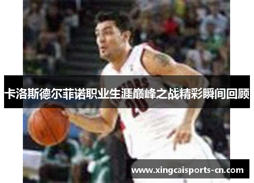 卡洛斯德尔菲诺职业生涯巅峰之战精彩瞬间回顾