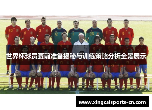 世界杯球员赛前准备揭秘与训练策略分析全景展示