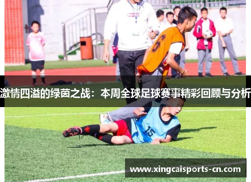 激情四溢的绿茵之战：本周全球足球赛事精彩回顾与分析