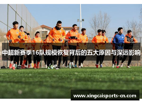 中超新赛季16队规模恢复背后的五大原因与深远影响