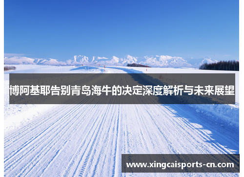 博阿基耶告别青岛海牛的决定深度解析与未来展望