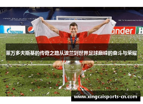 莱万多夫斯基的传奇之路从波兰到世界足球巅峰的奋斗与荣耀