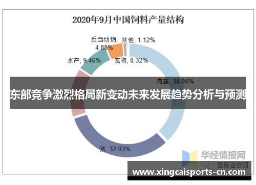 东部竞争激烈格局新变动未来发展趋势分析与预测