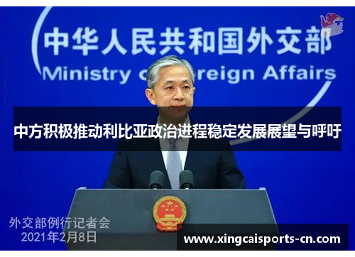 中方积极推动利比亚政治进程稳定发展展望与呼吁