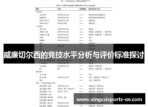 威廉切尔西的竞技水平分析与评价标准探讨
