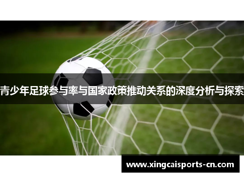 青少年足球参与率与国家政策推动关系的深度分析与探索